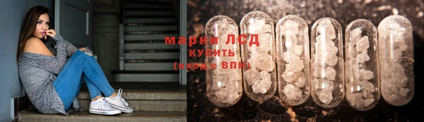 ГАЛЛЮЦИНОГЕННЫЕ ГРИБЫ Нея